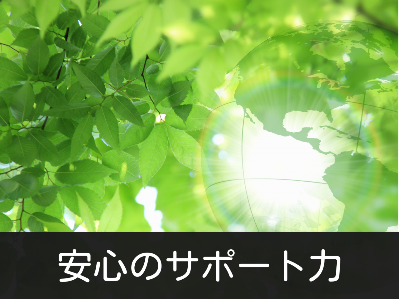 安心のサポート力
